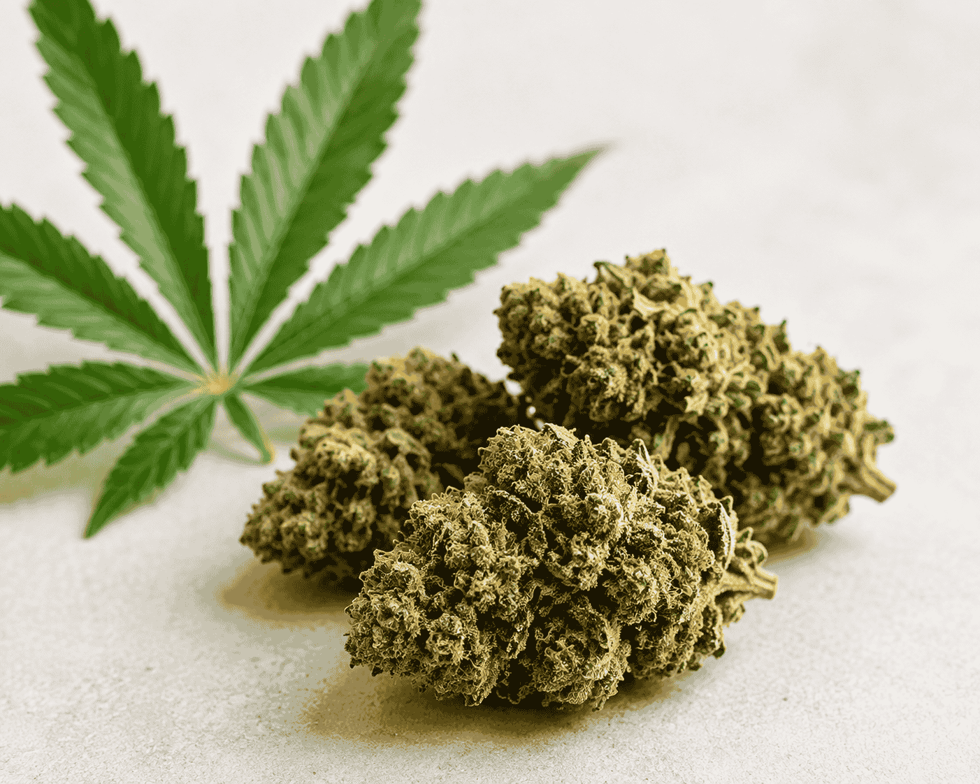 weed-Cannabis